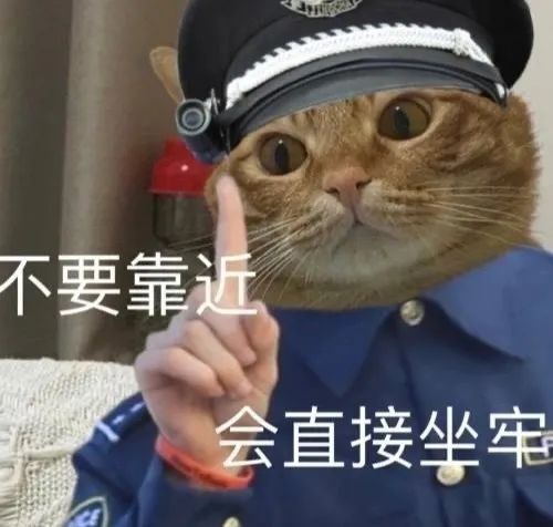 别动,警察