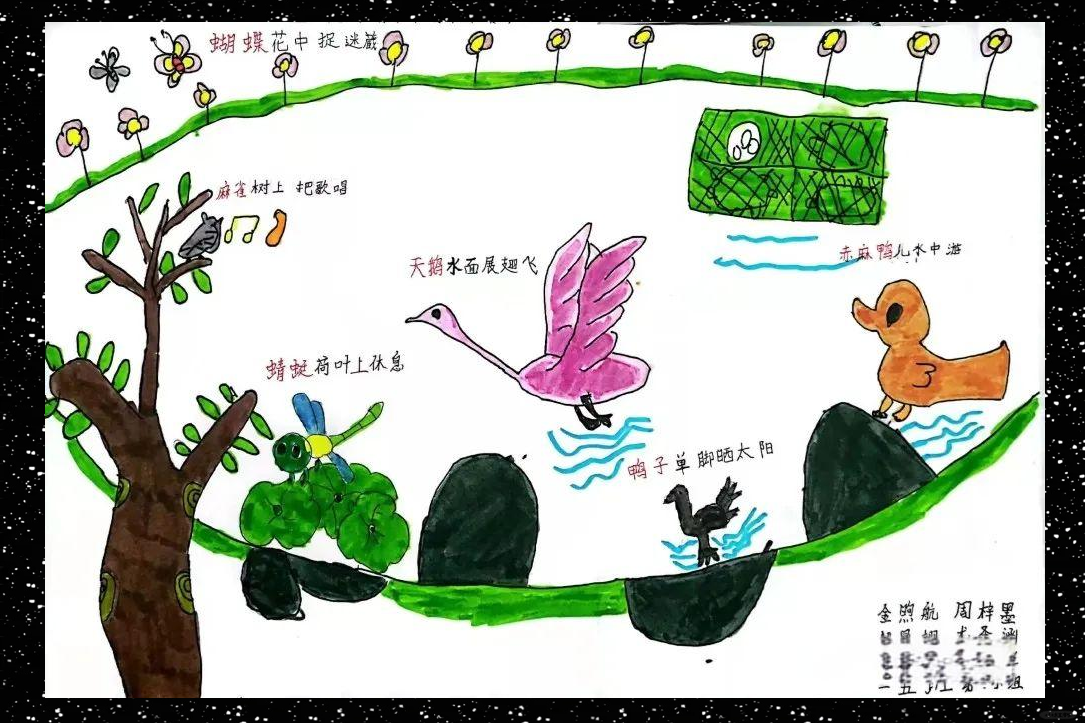 《拍手歌》探秘:揭晓多彩动物世界