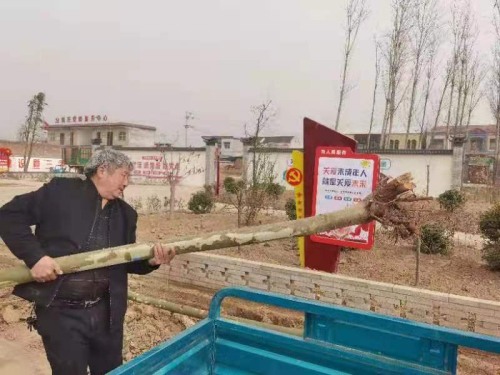 河南新乡市原阳县阳阿乡韩庄村支书韩国胜的美丽乡村梦