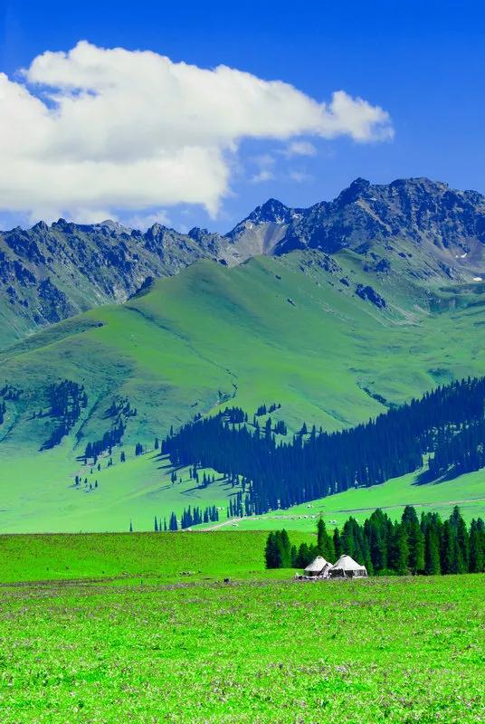 新疆·那拉提大草原唯美的自然风光,分享给大家看一看