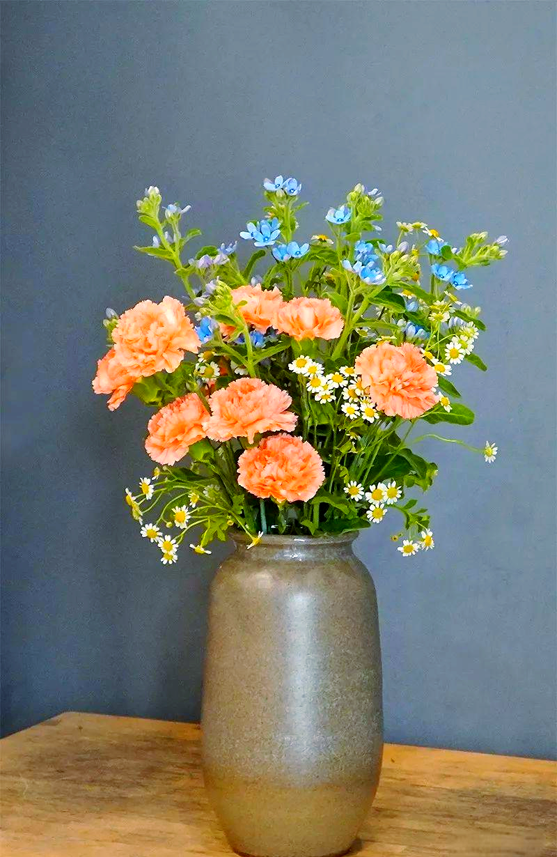 康乃馨与洋甘菊的碰撞,诠释母亲节插花艺术