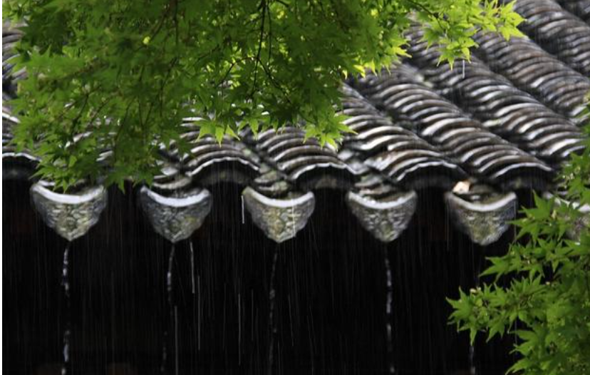 作家在线|刘东军:盼雨