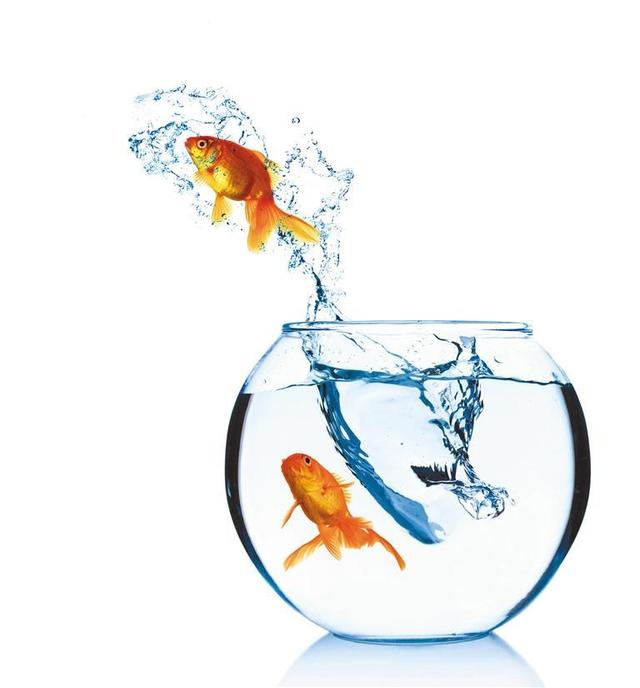 种花 养鱼 饮茶 听相声……西安年轻人热衷"慢下来"