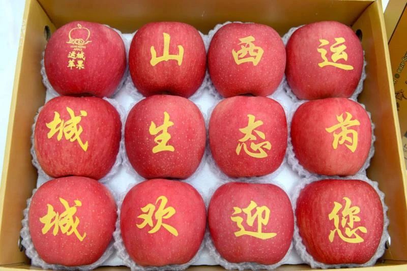 「百市千县创品牌」山西省芮城县名扬全国的花椒和苹果