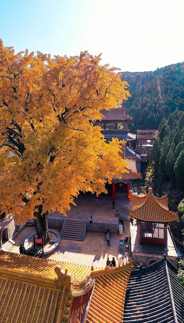 简直美翻了!济南的秋天,到底有多惊艳?