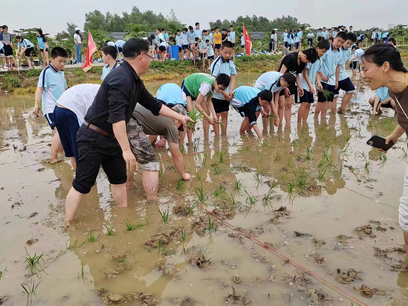 知行合一增见识,寓教于乐共成长广州市黄埔区九佛中学研学活动