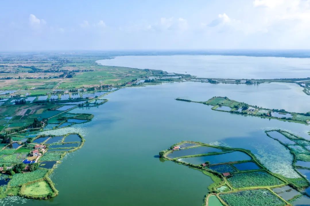 真是湖了没想到有这么多叫法