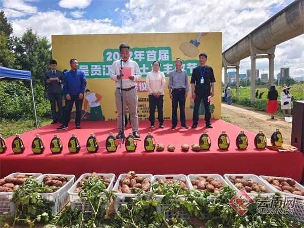 呈贡江尾社区土豆丰收节持续至7月