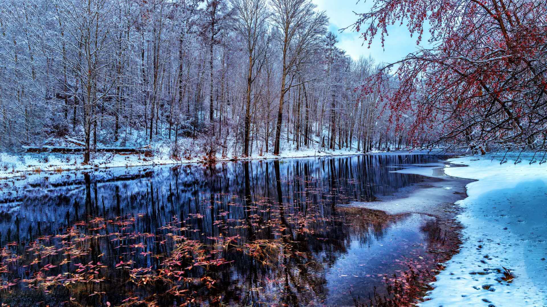 来阿木尔北极岛吧!领略飞雪的故乡