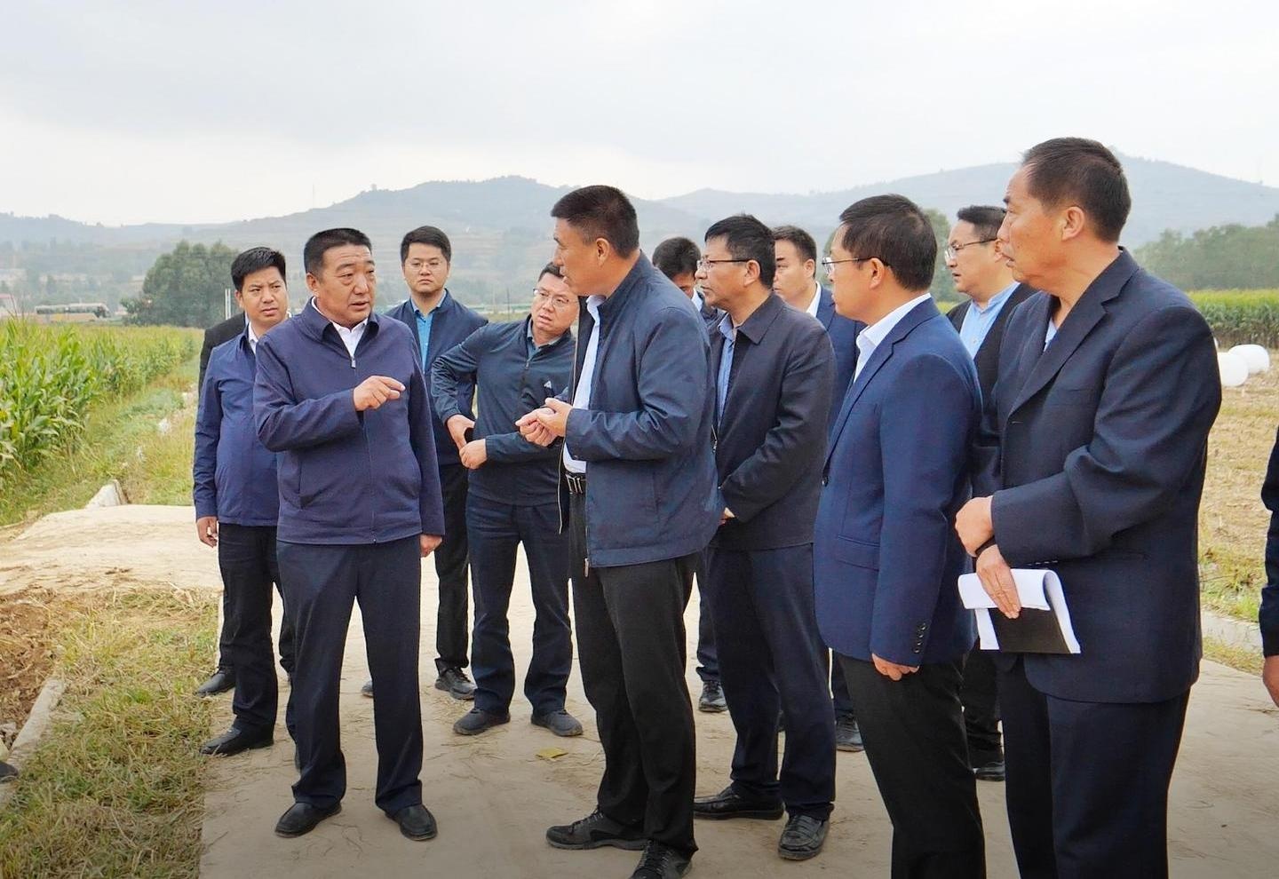 马信真马忠山督查粮改饲和县城绿化美化工作