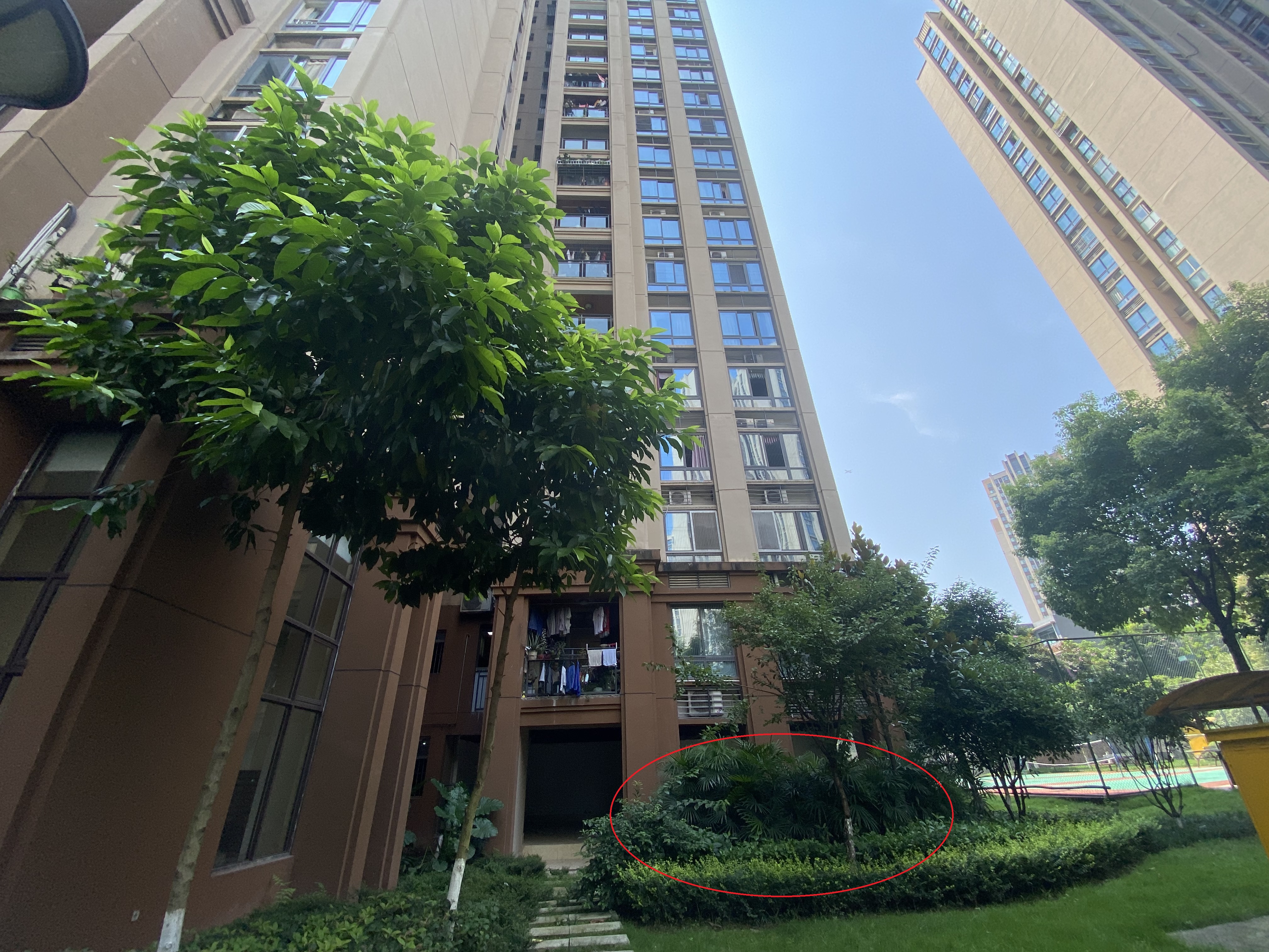 重庆姐弟坠亡案二审:张波,叶诚尘当庭翻供,公诉方举证驳斥