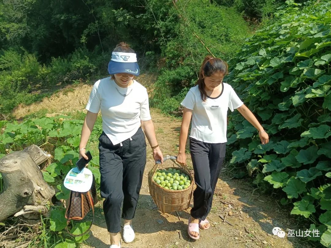 巾帼奋进新征程|重庆巫山姐妹基层工作风采(四十一)