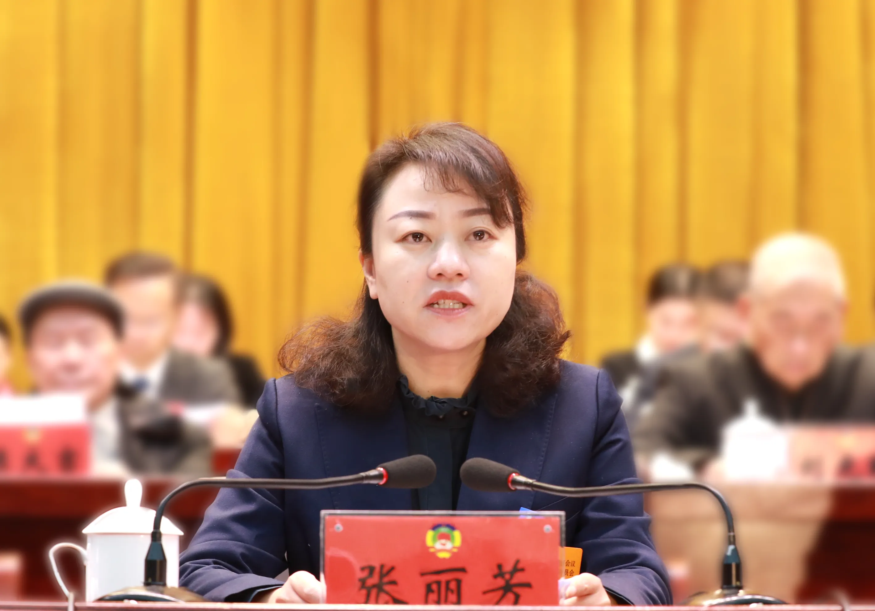 「都匀两会」都匀市政协十一届四次会议隆重开幕