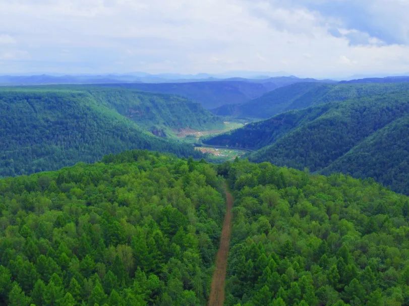 神秘的天池有千姿百态的原始森林美丽的长白山巍峨磅礴"长白雄东北