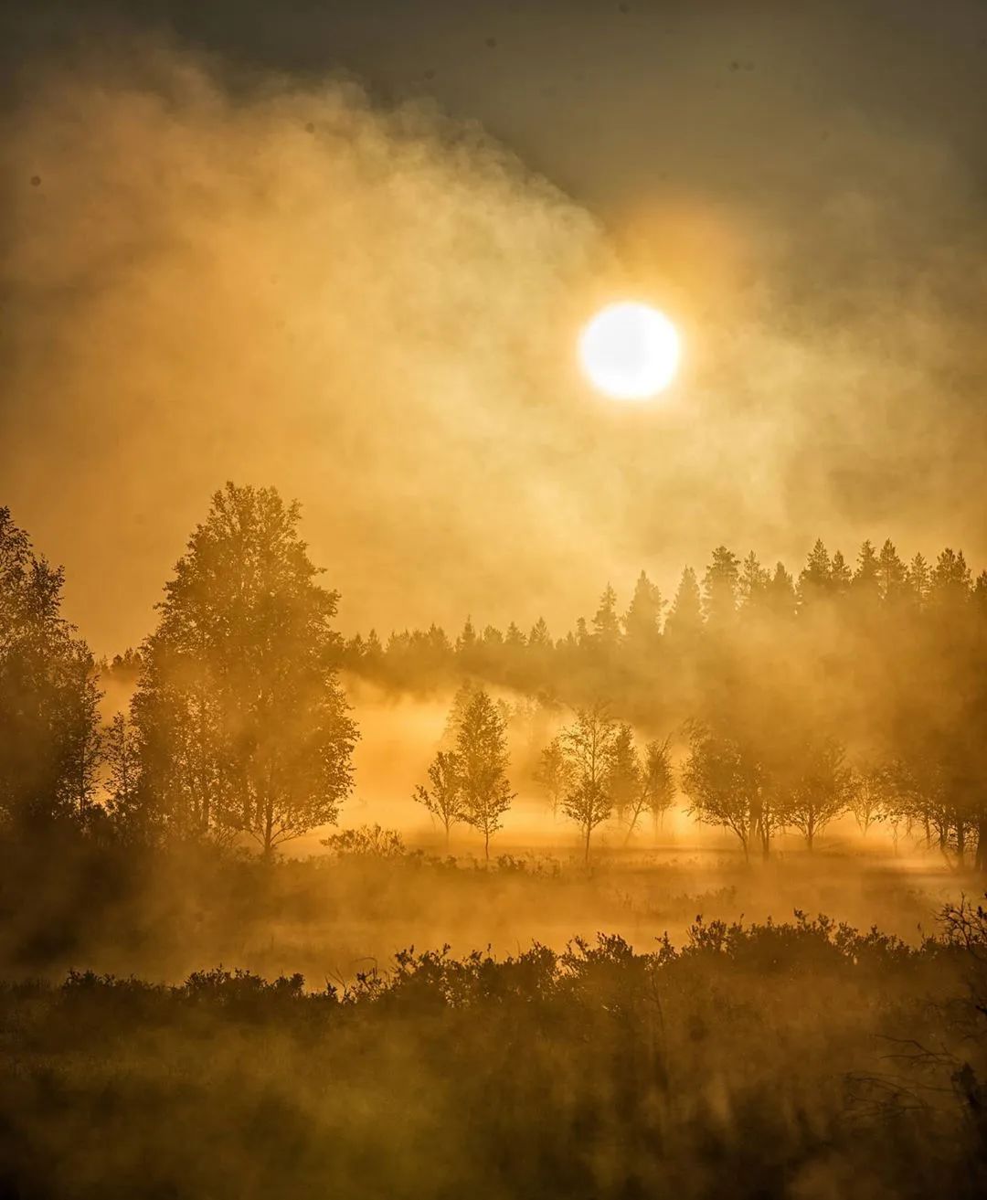 日出,日落时分,抓住拍摄的黄金时刻!