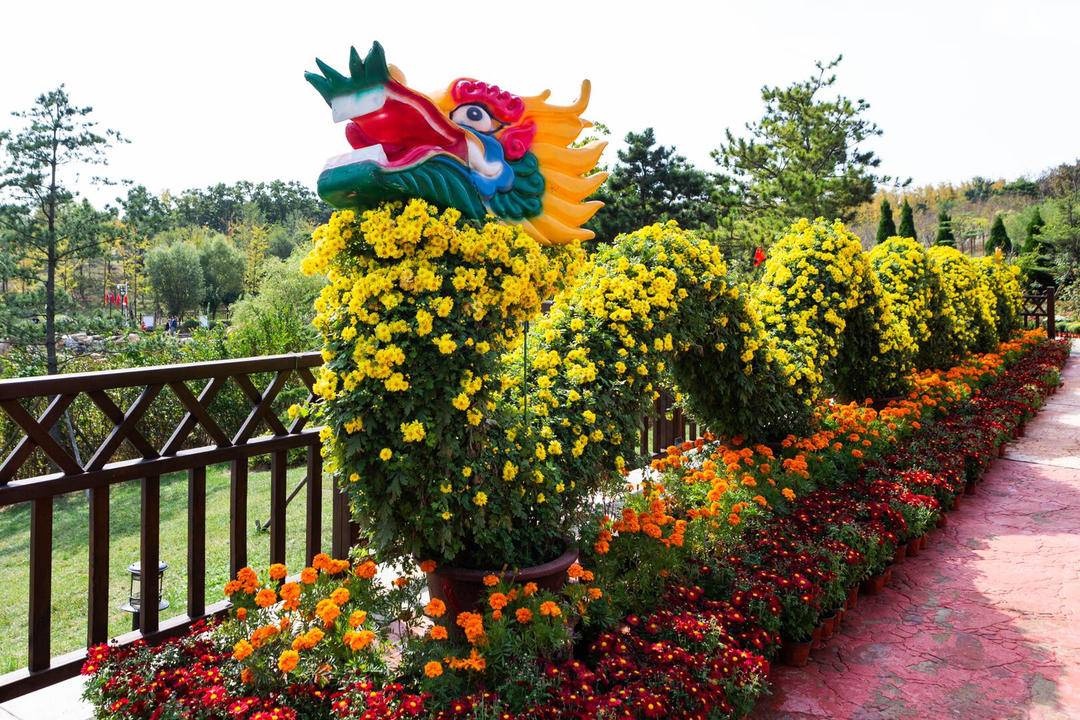 花的海洋,画的殿堂!大连金石滩植物园这场展览人气旺