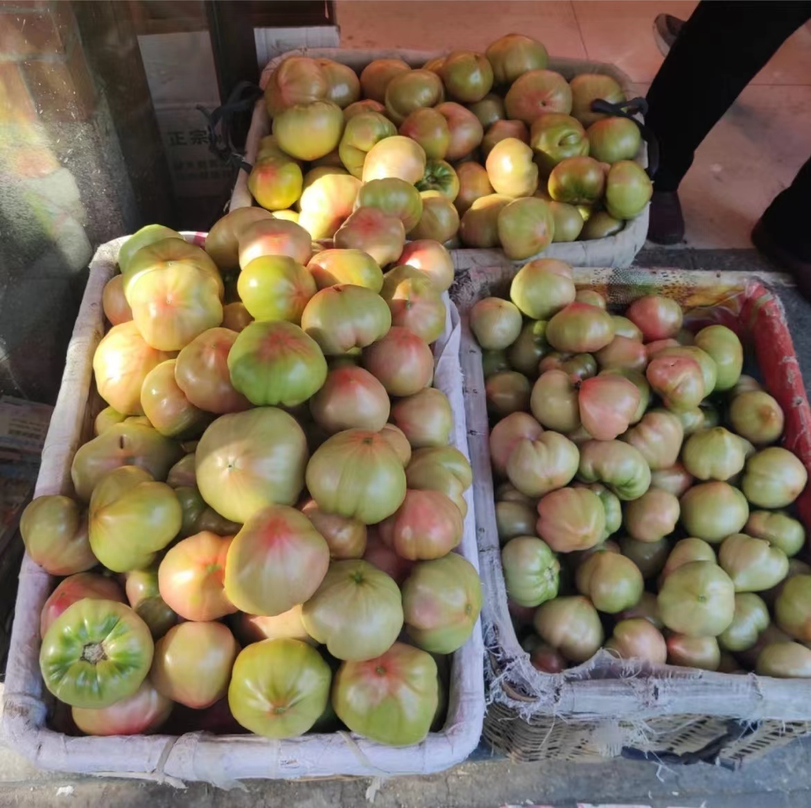 欢坨西红柿可以采摘啦 满口爆汁小时候的味道 天津五月好去处