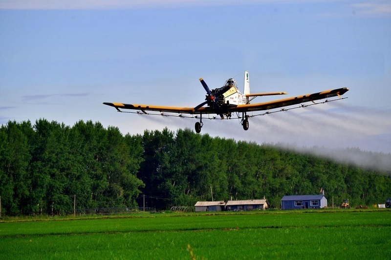 二九一农场认真做好水稻关键期管理工作