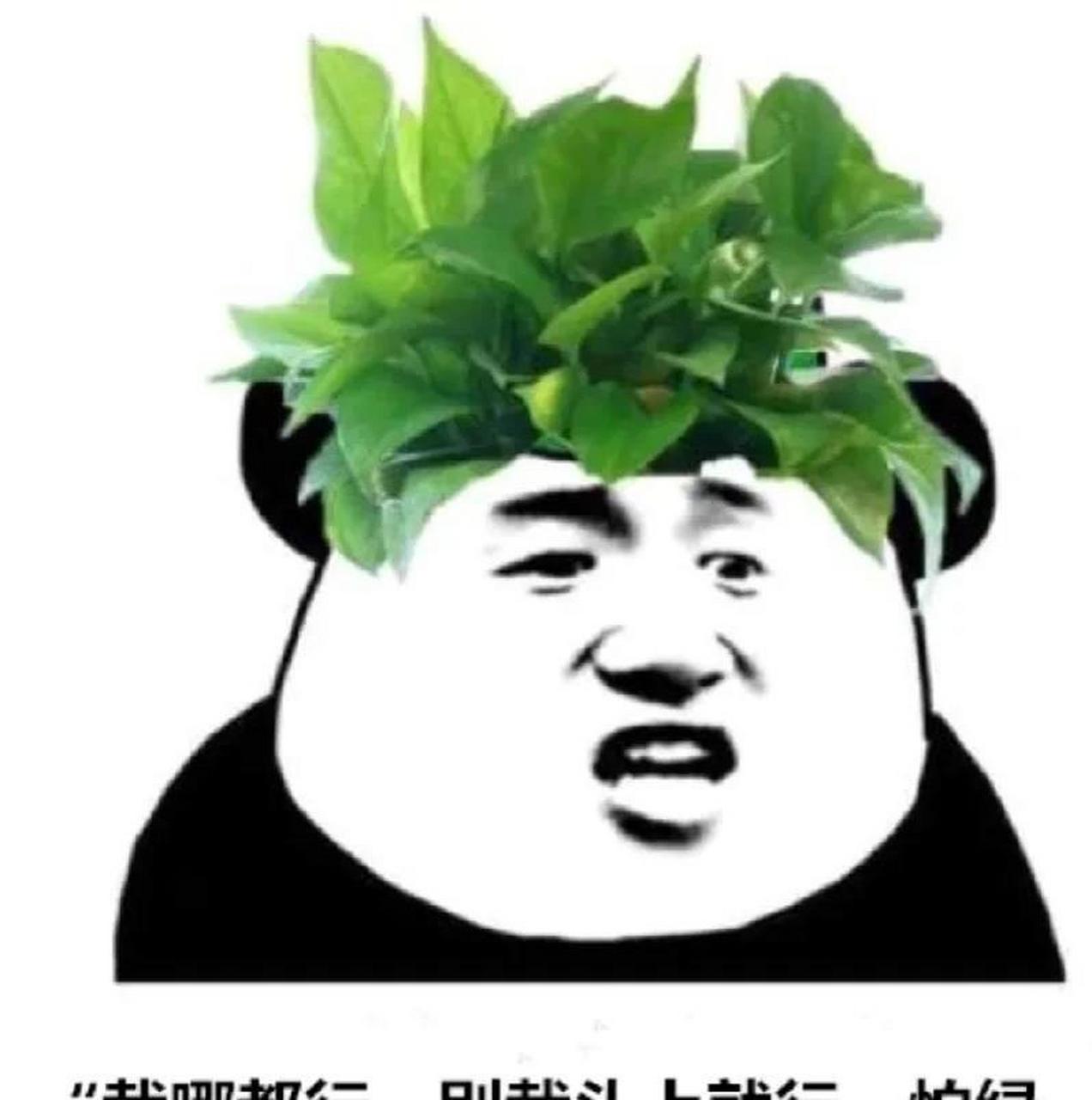 "要想生活过得去,头上必须带点绿" 这两天儿子嘴里一直在念这句话 一