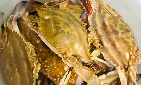 品尝最好吃的海鲜必须来东台