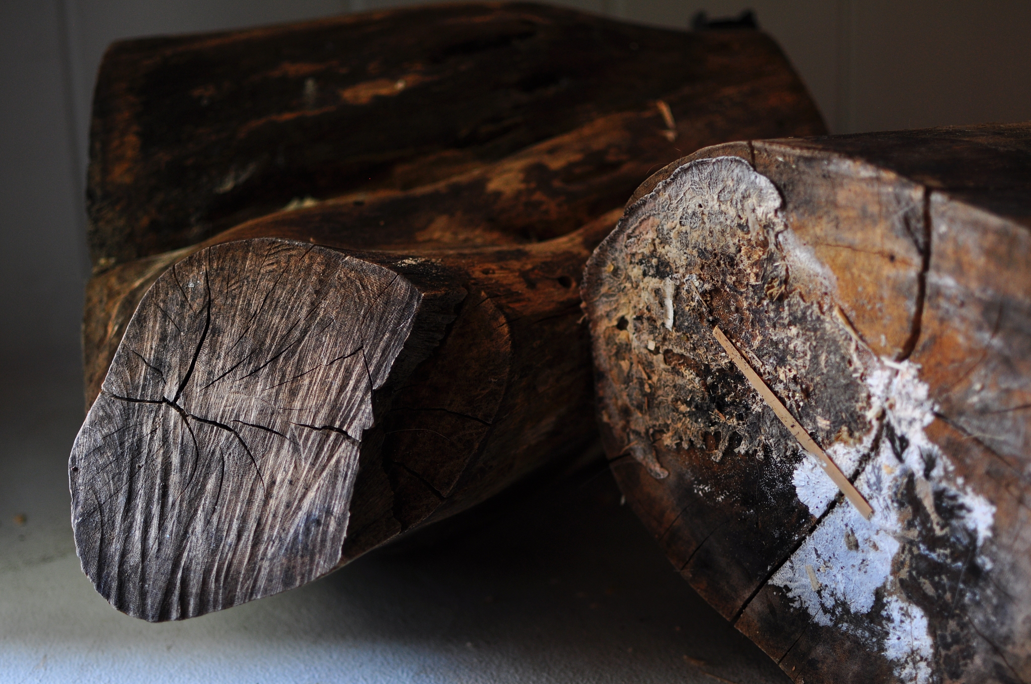 黑木属于哪个国家的木头?黑木属于什么档次的木材