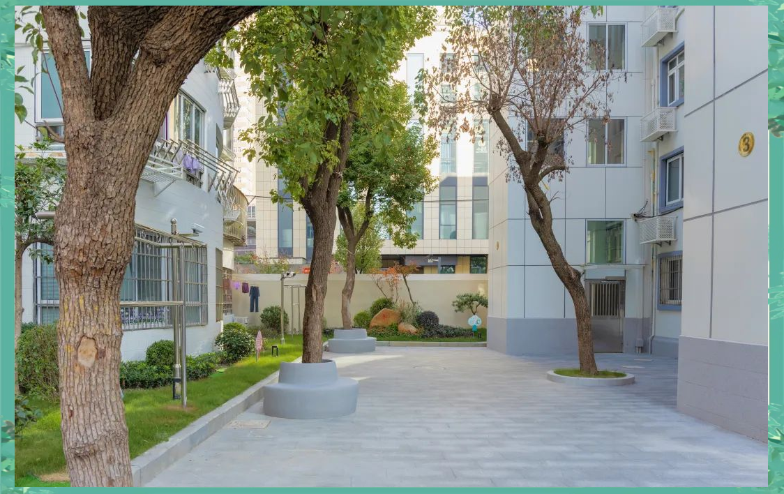 香樟苑小区焕新颜,综合治理与一体化更新相得益彰