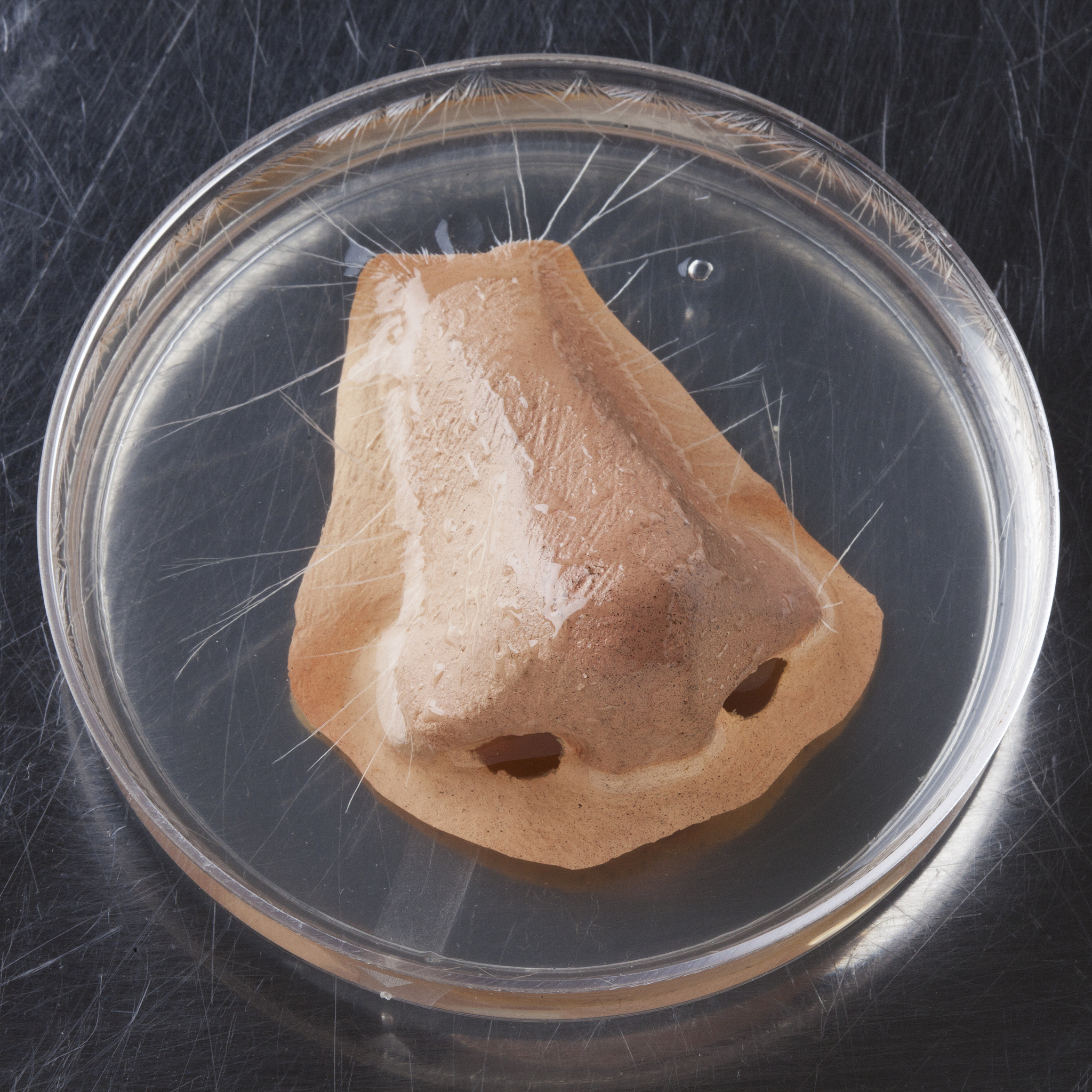 连云二氯四氨钯回收(废旧二氯四氨钯回收)连云二氯四氨钯回收