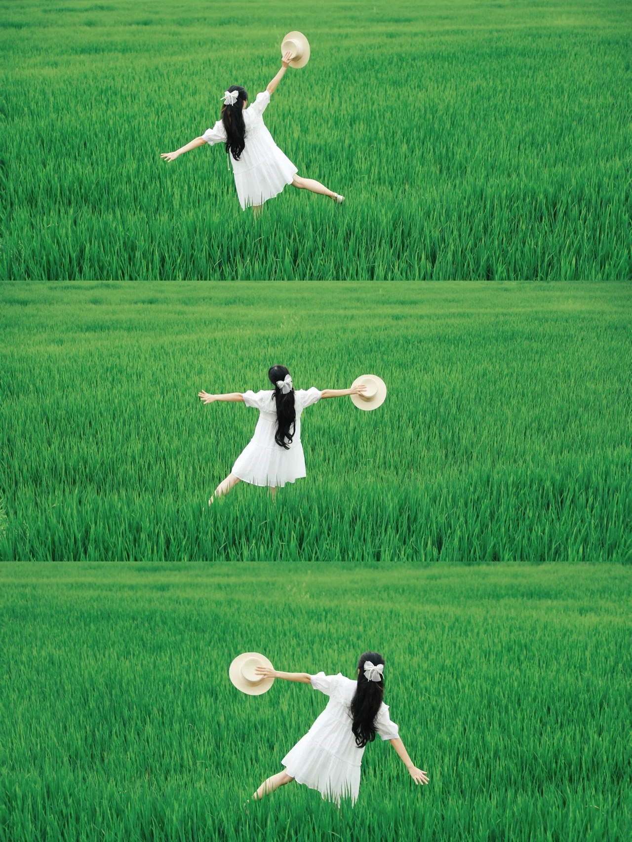 稻田人像美姿分享,7个动作,拍照清新脱俗很好看