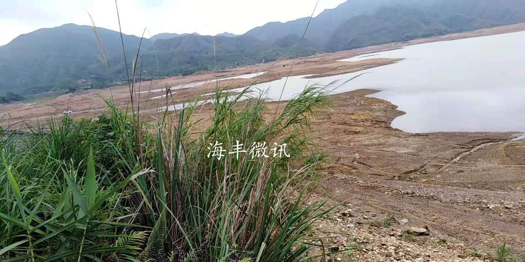 海豐青年水庫最新情況