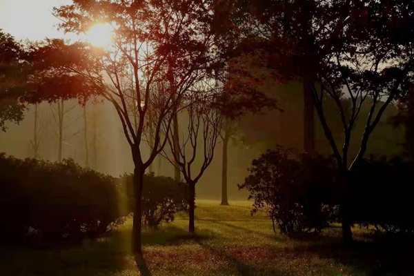 诗歌世界丨谭应林:看苍山万里 不变的是永远向上的初心