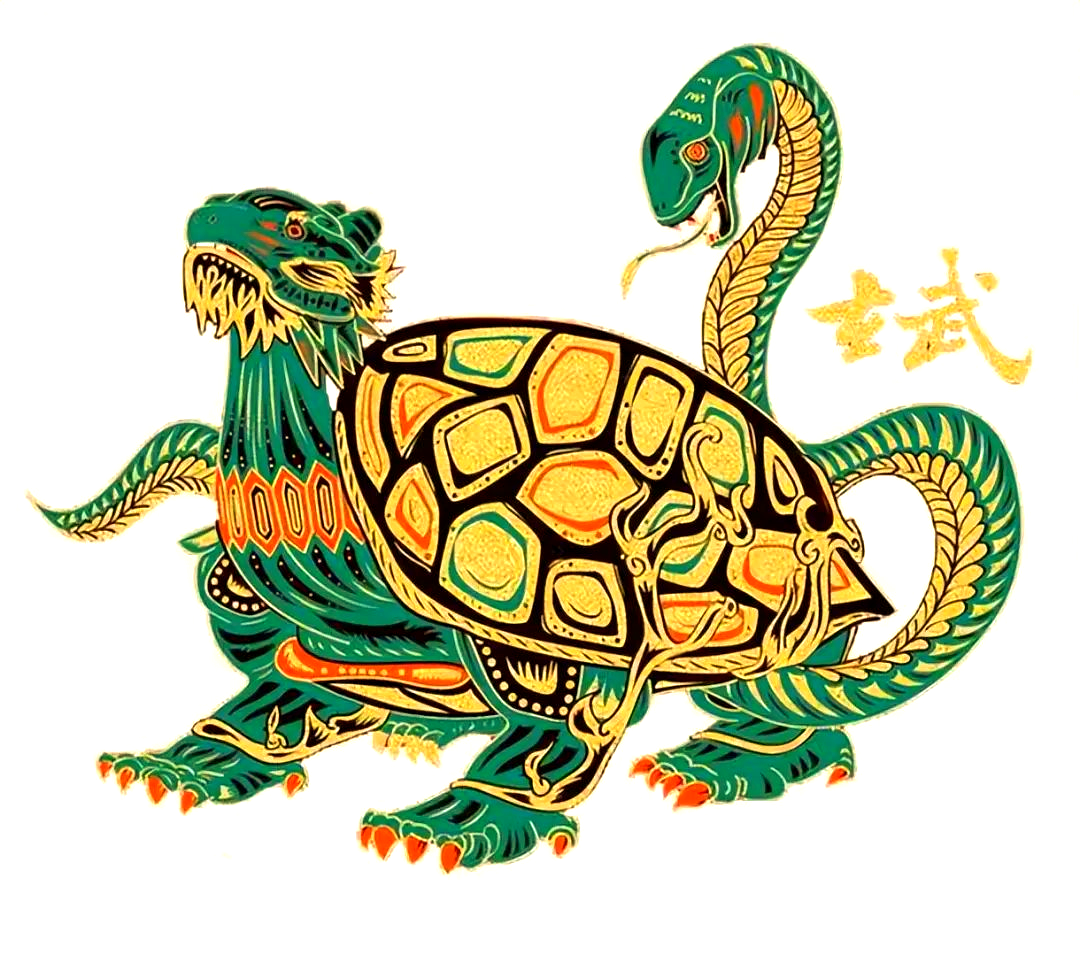 玄武门之玄武探源:龟蛇为何被赋予玄武之义?