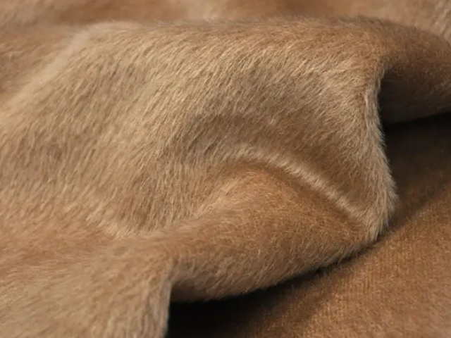 海狸绒是什么面料