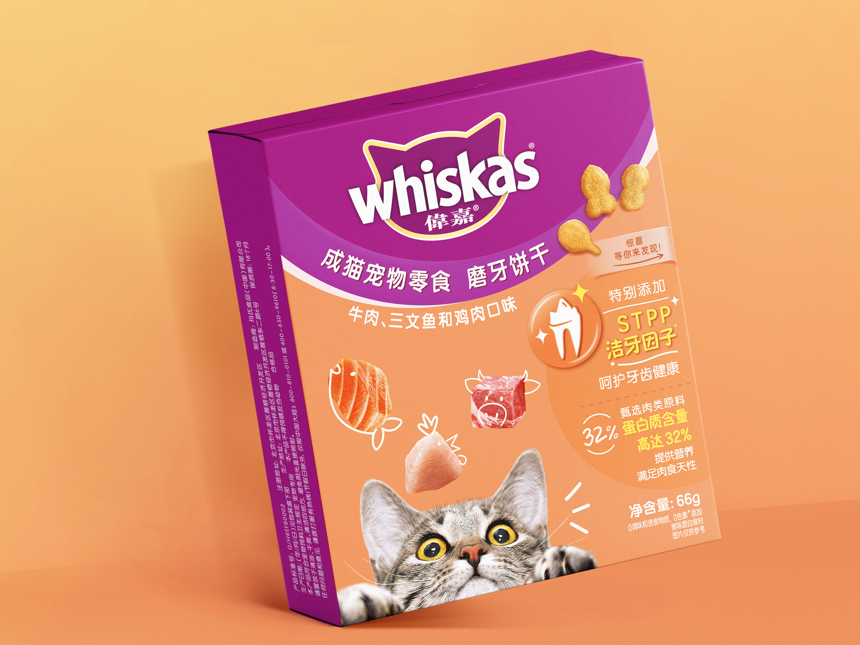 包装设计|与伟嘉一起关注爱猫的小世界 - 猫咪饼干