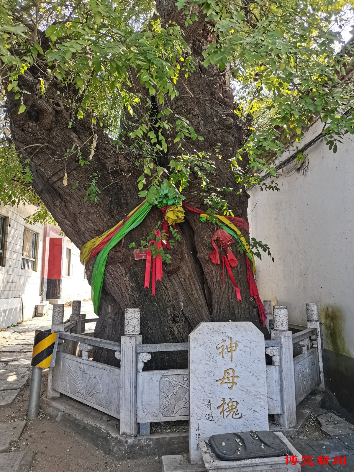 博山区池上镇旅游景点图片