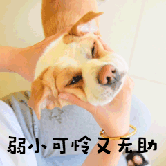 情人节"狗粮"吃到饱,那怀疑海淘到假狗粮能退一赔十吗?