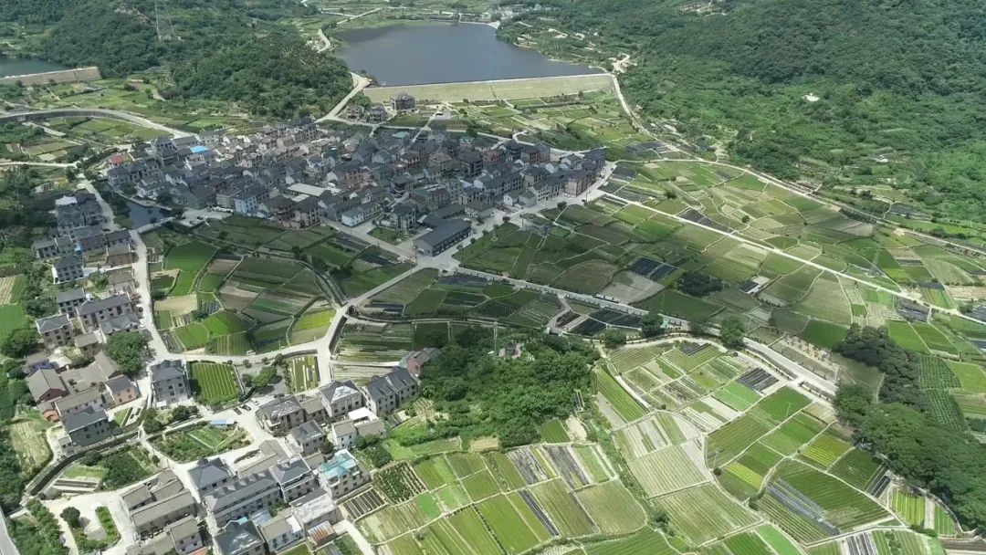 北仑门浦村和上龙泉社,今年计划建设这些项目