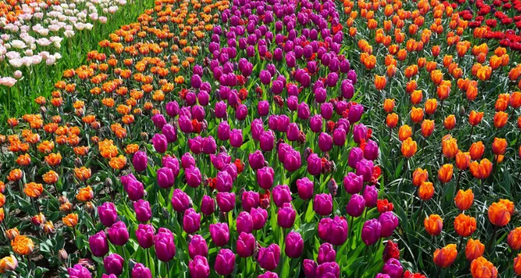 300k的照片尺寸是多少