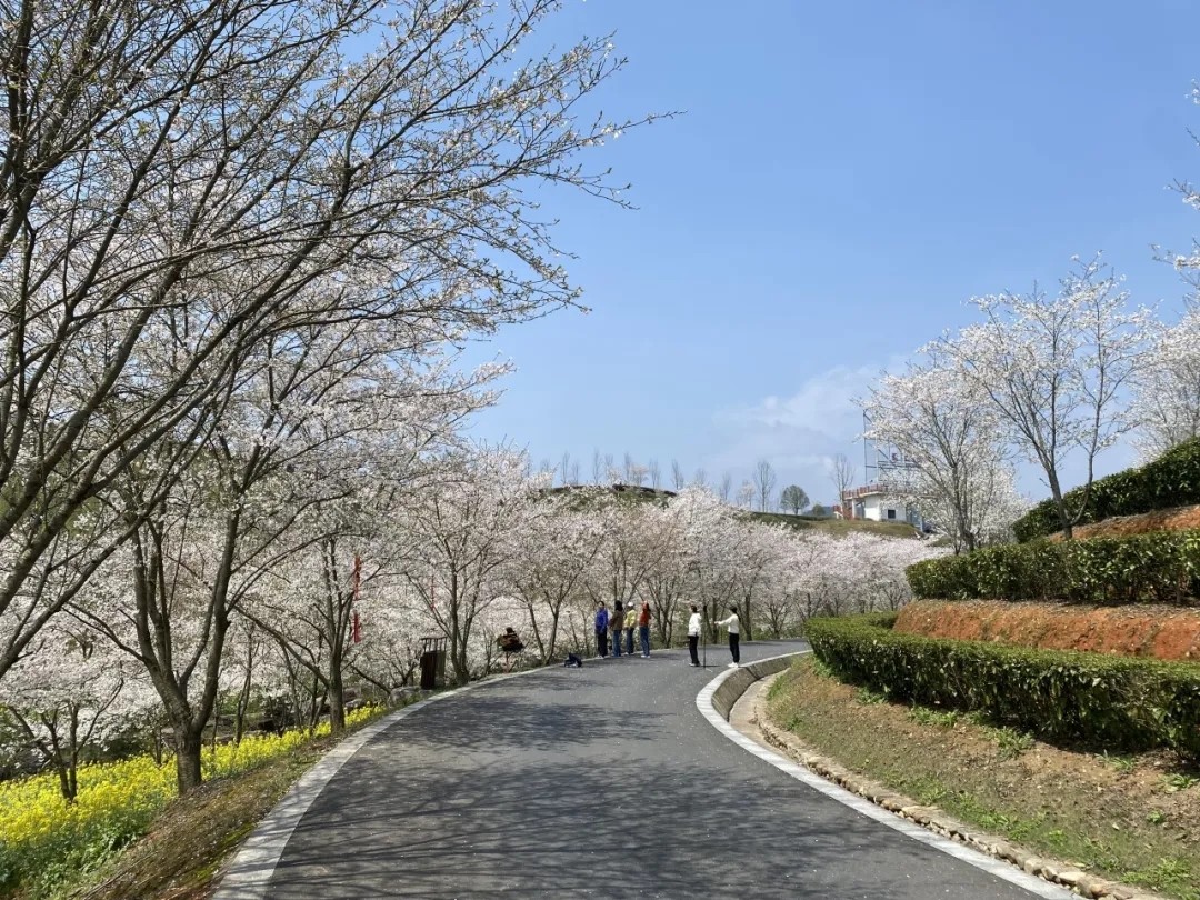 化州市新安公园图片