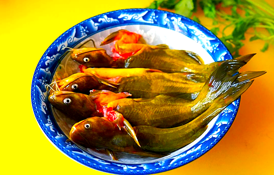 冬季御寒佳品,昂刺鱼与小豆饼的完美结合