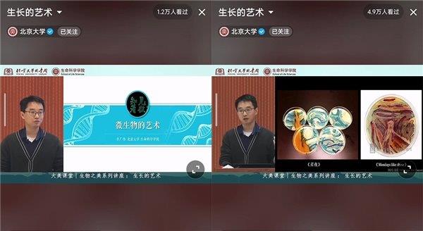 细菌不可怕 北大教师辛广伟抖音公开课介绍用细菌作画