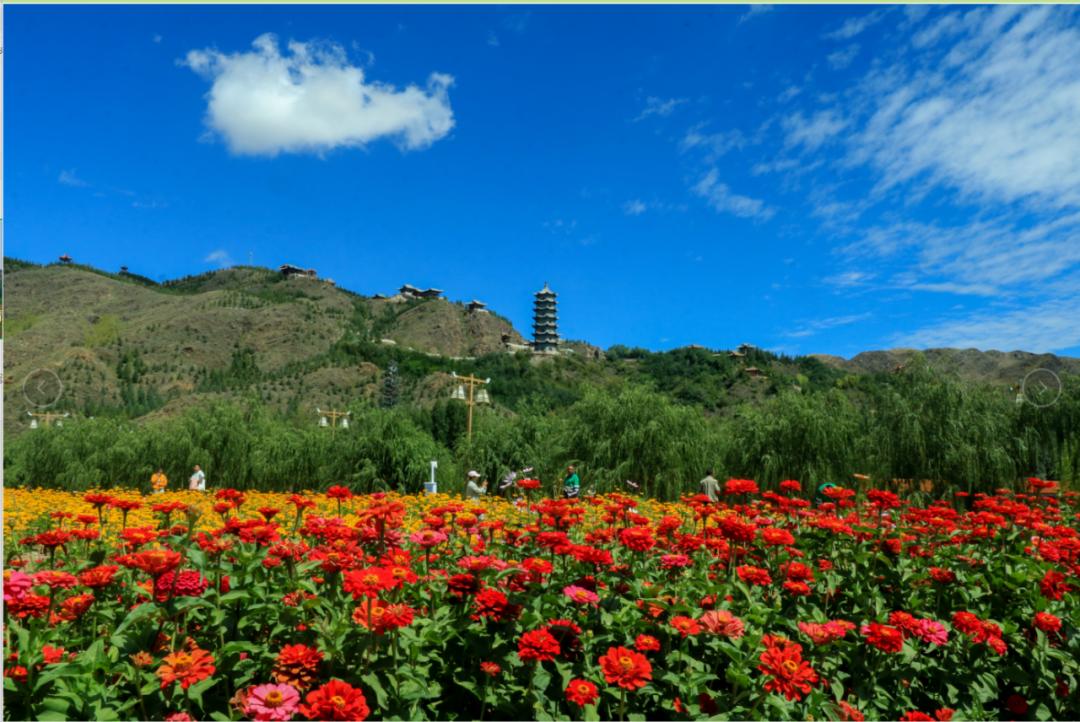 【原创】金昌这些a级景区,你打卡了吗?