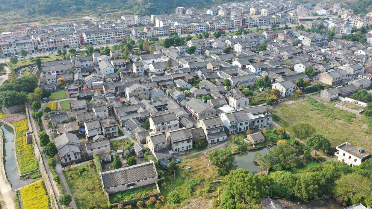 撑起秋天的颜值,桃渚古城的这处花海太美了!