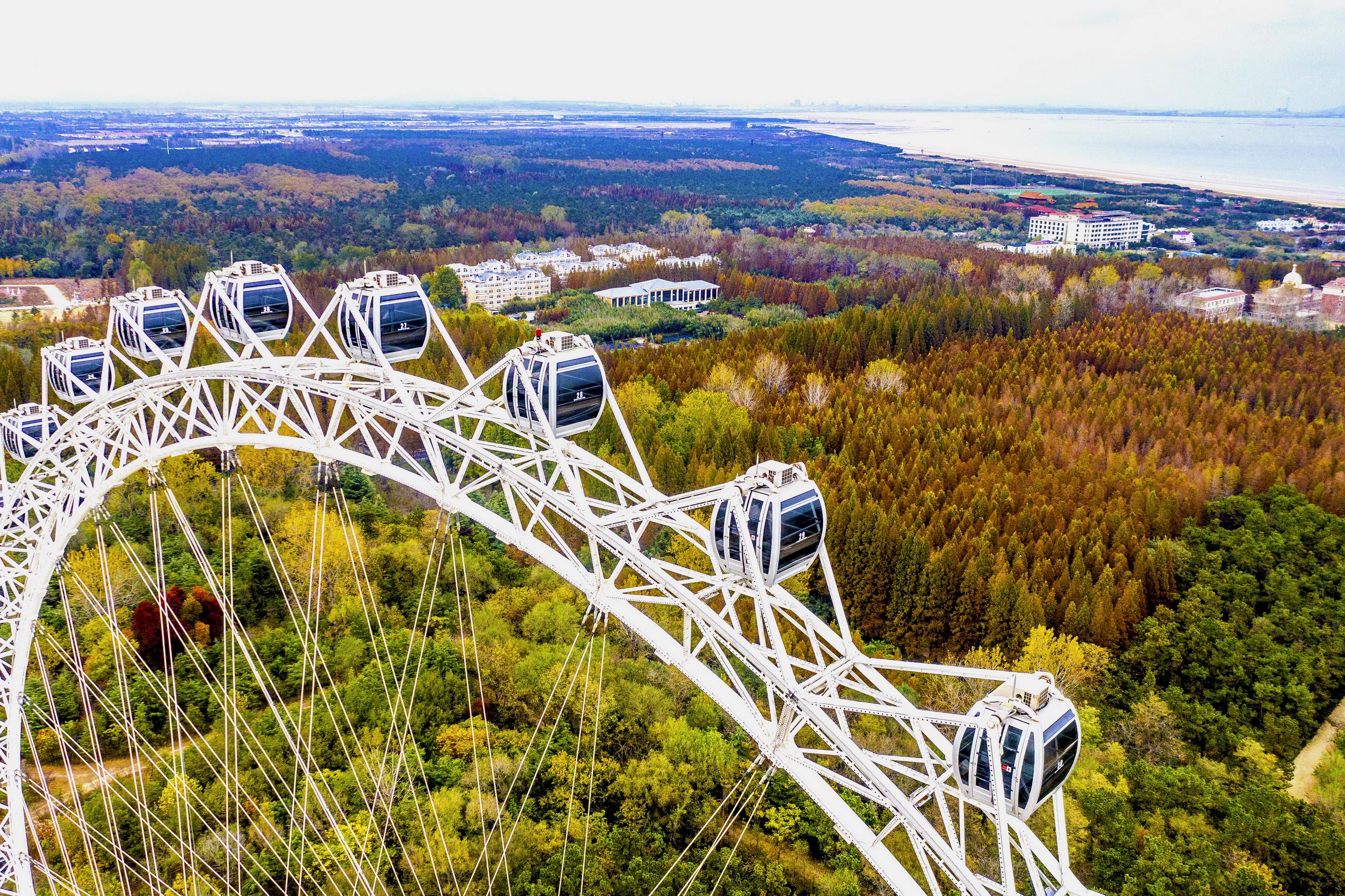 山东日照海滨国家森林公园呈现秋夏交融美景