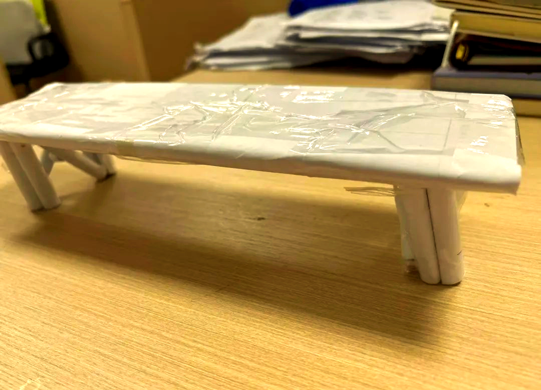 项目化学习成果展示