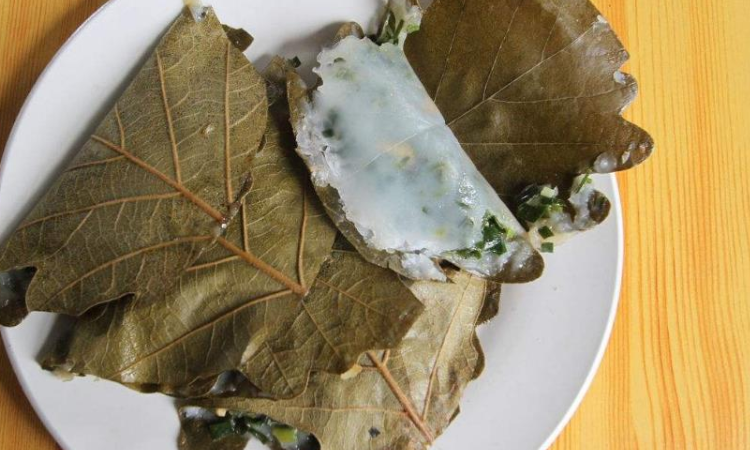 日照粽子叶子是什么叶子