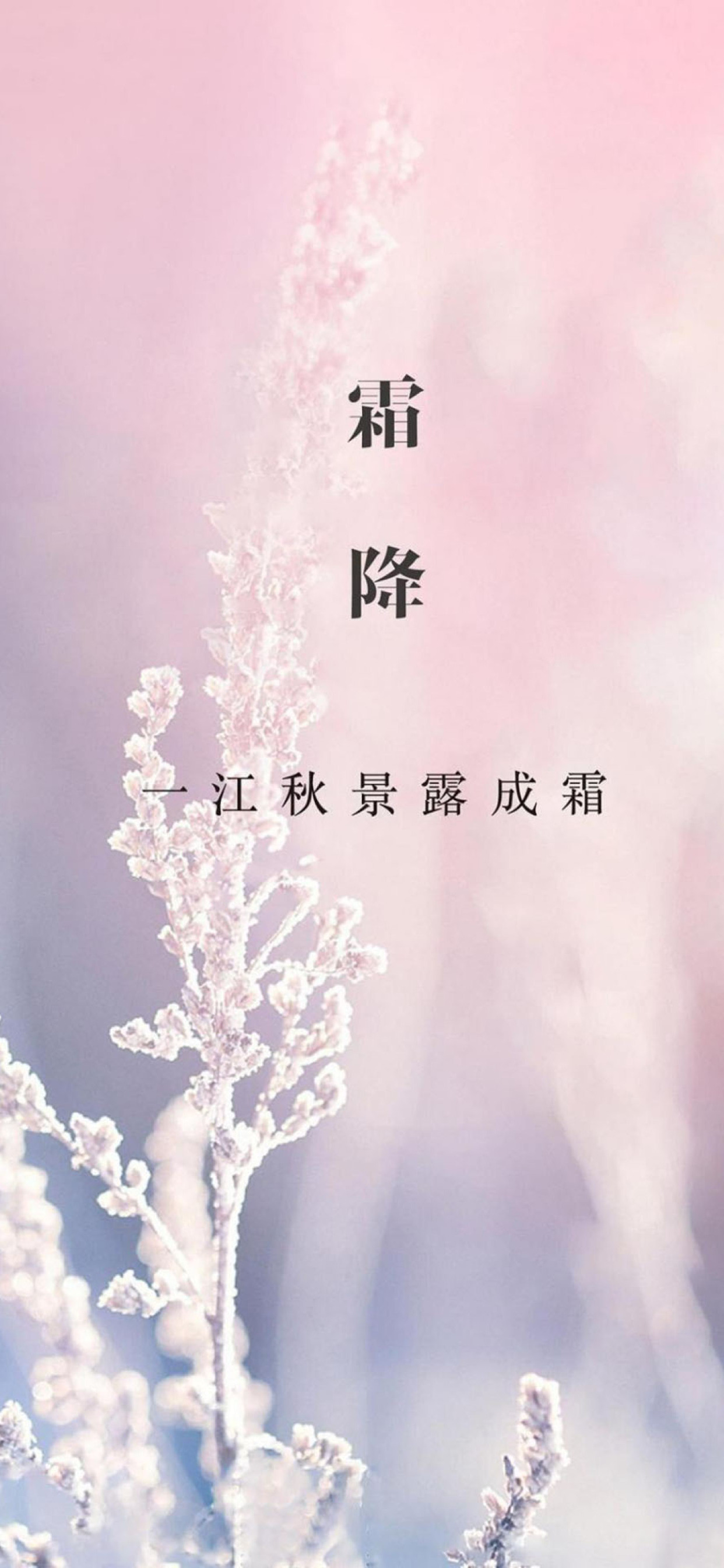 壁纸|24节气霜降手机壁纸