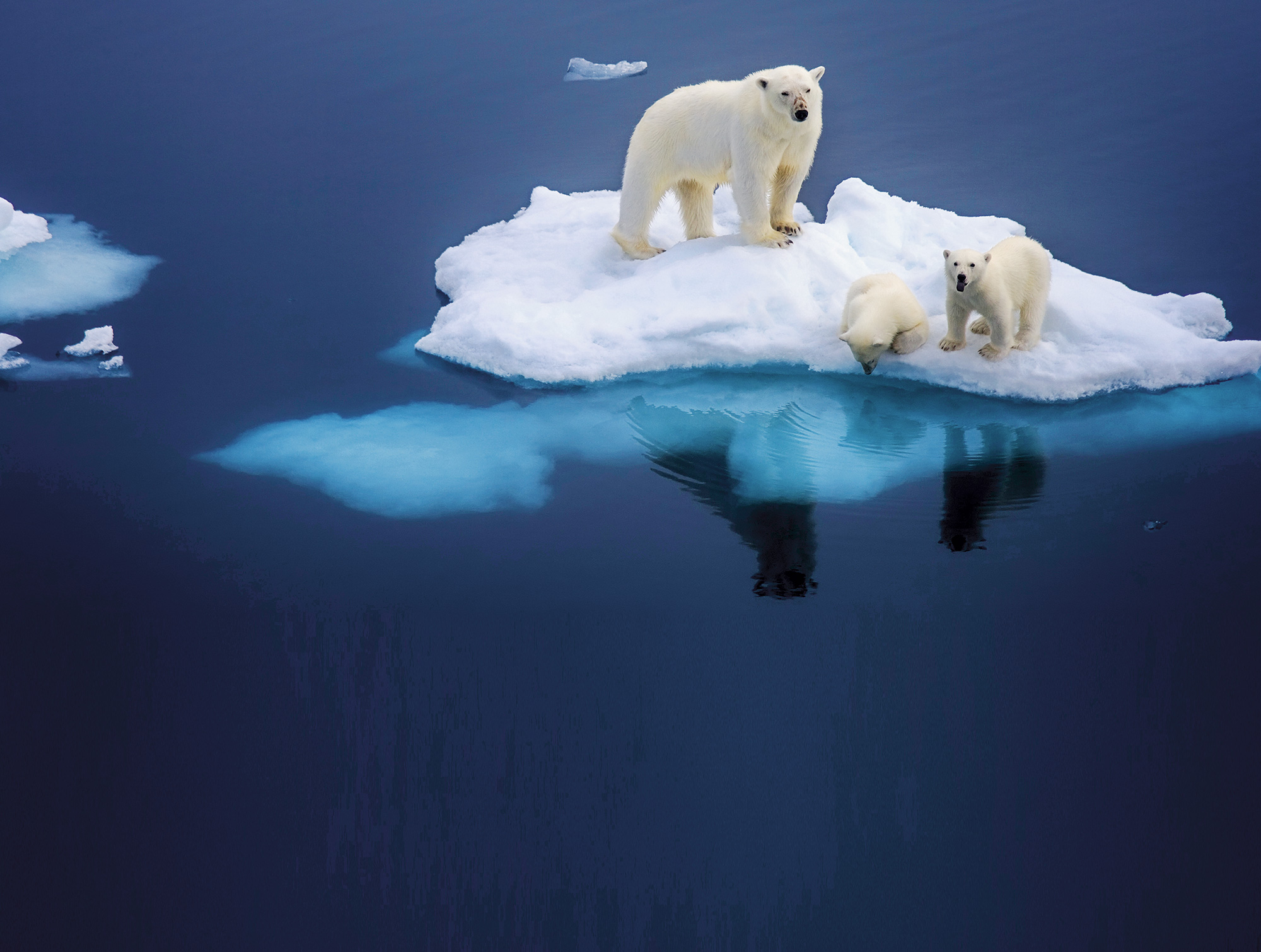 12000年以来炎热的气候,造成海平面的上升,已不可避免