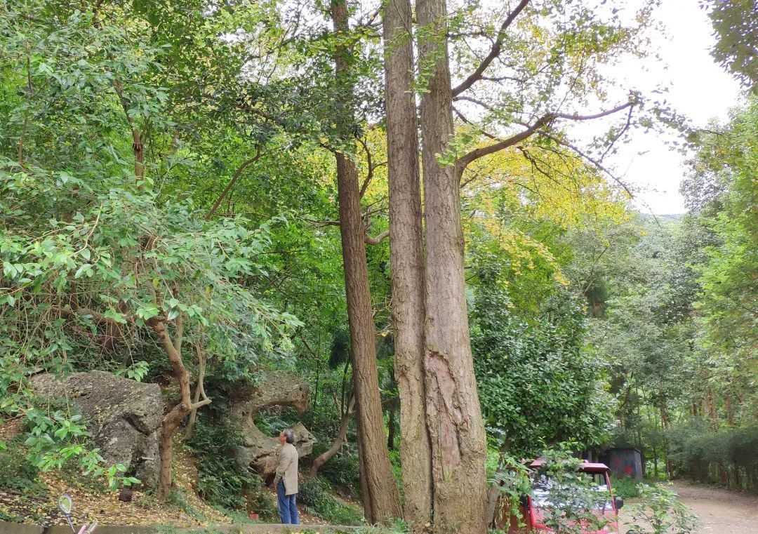 三溪寺遵道山九龍山三溪寺備註:三個地方相對