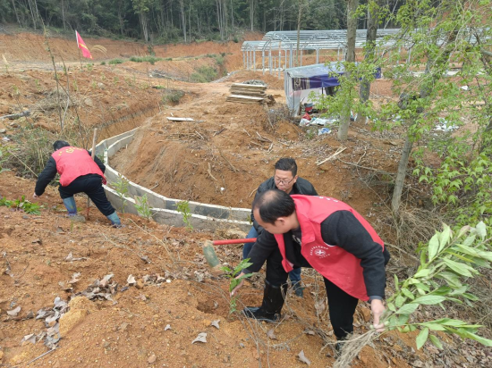 赣州市赣县区大田乡开展"我为家乡种棵树"主题党日活动