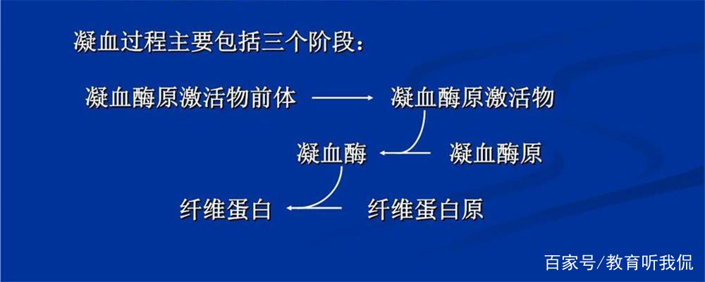 一份血寫的報告_血的報告能說明了什么_血液報告怎么寫